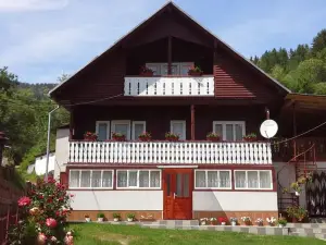 Pensiunea Daiana