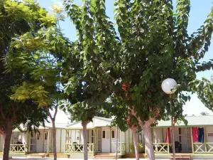 Camping El Jardín
