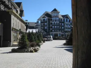 Stroll to Slopes, Village Area, Ski in-Out MtLodge 237
