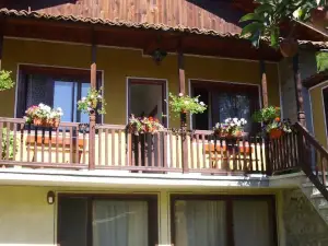 Dona Guest House - Horse Riding