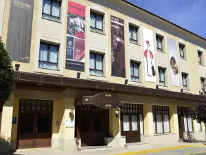 Hotel Maher