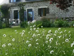 Fermette Dans les Pays de la Loire