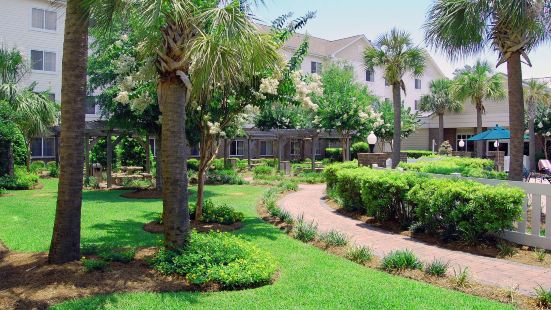 Mount Pleasant Palmetto Islands County Park Travel Guidebook Must