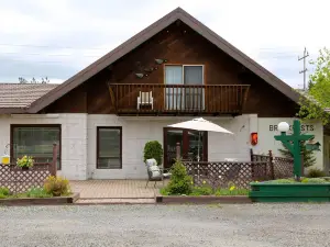 Arrowhead Inn by Baaman's