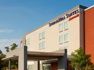 SpringHill Suites Houston the Woodlands