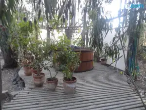 Cabanas Curi-Huapi