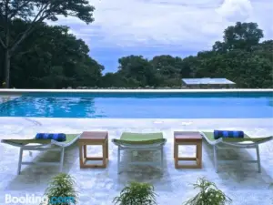 Tree of Life Cabinas