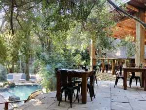 Serenity Mountain and Forest Lodge