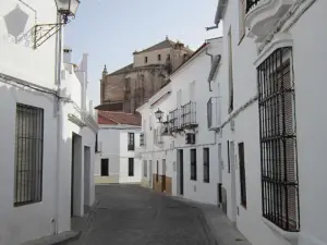 La Nueva Andalusí