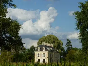 Château la Mothaye - Self Catering Apartments with Pool in the Loire Valley