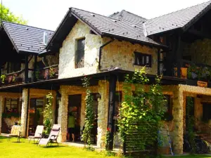 Pensiunea Casa Dacilor