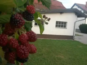 Apartment Cecilia Koprivnica