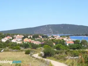Apartment Romana