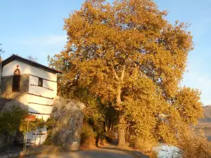 Guesthouse Filoxenia