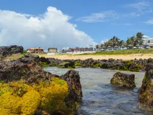 Praia Das Tartarugas