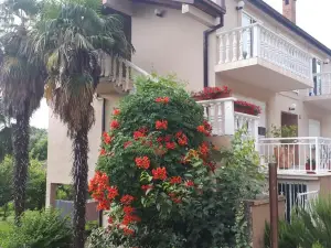 Sunny House
