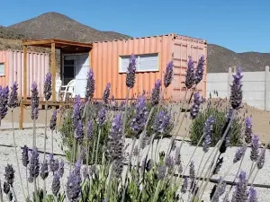 B&B Lavanda del Valle