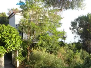 Apartments Bassi