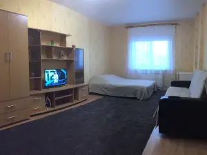 Apartment on Krasnozvezdnaya 9