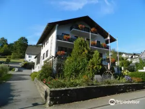 Sonneneck