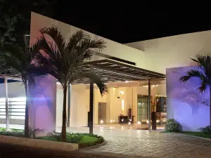 Hotel Contempo