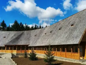 "Plai cu Peri"