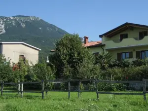 Turistična Kmetija Pri Rebkovih