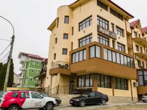 Hotel-Restaurant Ayan Piatra Neamt