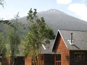 Bosque Patagonico Cabañas y Camping
