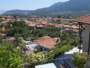 Guesthouse Panorama