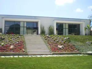 Hotel Douro Vale de Campos
