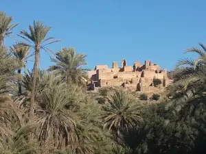 Oasis de Tiout