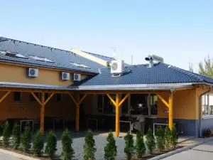 Hotel Lion