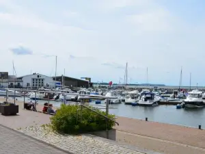 Loui´s FeWo Wiek