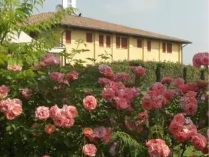 Hotel Fondo Catena