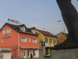 Pansion Kipovi