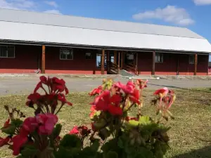 Cabañas y Lodge Antiñanco