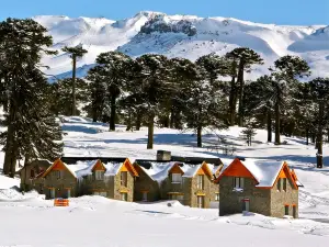 Cabañas Patagonia Village