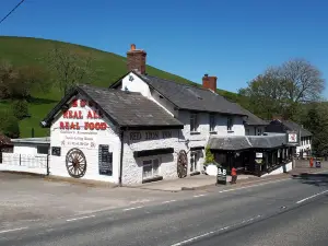 Llew Coch B&B