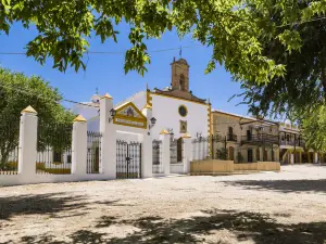 Villa en Plena campiña Andaluza