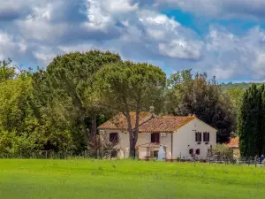 B&B Borgo Vera