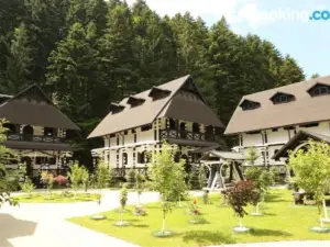 Complex Lions Bucovina