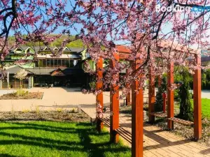 Hotel Daro