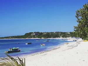 Tropic Ecolodge