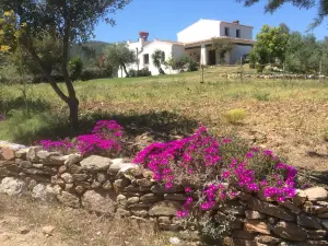 Il Conte B&B