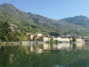 Nido del Tadini
