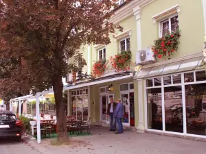Bed & Breakfast Vila Stanišić