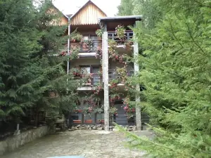 Villa Doina
