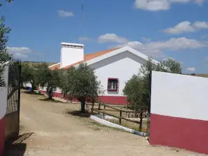 Horta do Muro
