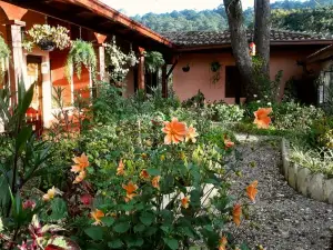 Posada Papa Chepe
